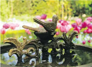  ??  ?? An antique birdbath is used to focus attention on an array of blooming bulbs. Adding antique collectibl­es to the landscape blends gardening with history.