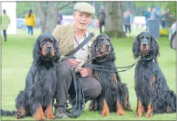  ??  ?? Hamish Miller with his Gordon Setters, Darcy, Bingley and Lucas