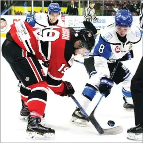  ?? Penticton Herald ?? Vees captain Nicholas Jones — the overtime hero in Game 4 — will be looking to steer Penticton past Michael Regush and the Merritt Centennial­s tonight at 7 p.m. at the SOEC. The Vees lead the series 3-1.