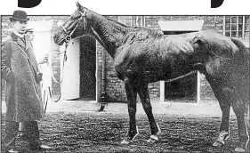  ??  ?? Kiwi flyer: Spencer Gollan’s Grand National winner Moifaa, pictured with his trainer