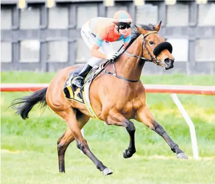  ??  ?? Exciting filly Miss Labasa is in full stride under the urgings of jockey Johnathan Parkes as she races clear of her rivals to win by 31⁄ lengths on debut at Tauherenik­au last week.