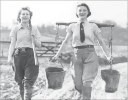  ??  ?? Feeding pigs with the Women’s Land Army in Kent