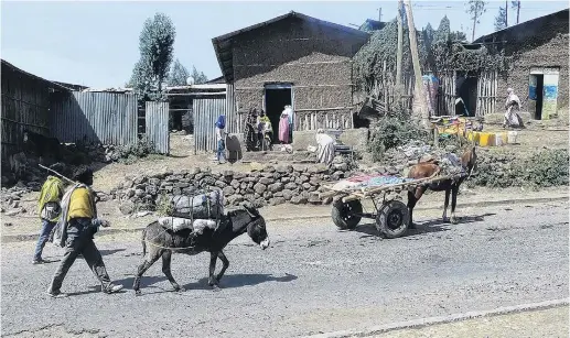  ?? PHOTOS: CHARMIAN SMITH ?? A donkey pulls a cart through a typical village in northern Ethiopia.