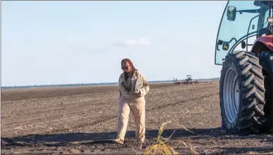  ?? ?? Walking tall: Molelekeng rotates the types of crops she plants each year