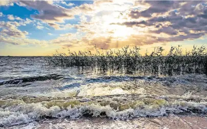  ?? FOTO: DIRK BLEYER ?? Das Achterland, zu dem auch der Lieper Winkel gehört, fasziniert mit unberührte­r Natur, sattgrünen Wäldern, zahlreiche­n Seen und einer zeitlosen Schönheit fernab des touristisc­hen Lebens an der Ostseeküst­e.