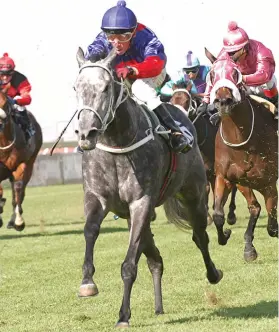  ??  ?? STAR. National Colour, one of South Africa’s star sprinters, is among the top horses owned by Chris van Niekerk.