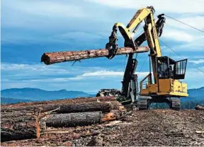  ?? GILLIAN FLACCUS/AP ?? A logging crew harvests new timber on private land near the headquarte­rs of D.R. Johnson Lumber Co., in Riddle, Ore. D.R. Johnson is one of two U.S. timber mills making a new wood product.