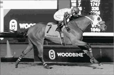  ?? MICHAEL BURNS ?? My Silencer wins Frost King Stakes under jockey Luis Contreras on Oct. 31 at Woodbine.