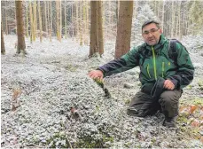  ?? FOTO: MAREIKE KEIPER ?? Werner Rumpel hat einen guten Überblick über den Wald. Hier zeigt er den Lebensraum diverser Tiere, gut versteckt im Moos.