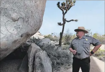  ?? Photograph­s by Irfan Khan Los Angeles Times ?? JOSHUA TREE’S George Land checks out rocks tagged with graffiti in the Cap Rock area of the national park. Graffiti is increasing­ly moving from urban to natural spaces, and inciting anger.