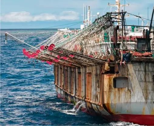  ?? BEN BLANKENSHI­P/OUTLAW OCEAN PROJECT ?? A Chinese squid fishing vessel in the Pacific.