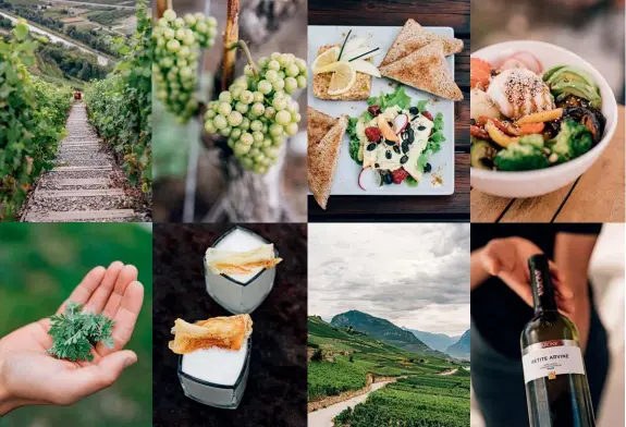  ??  ?? Above, from top left: Les Celliers de Sion vineyard; grape-heavy vines; a plate of locally farmed trout tartare at the vineyard’s restaurant, Le Cube Varone; also on the menu: a vegetarian bowl of seasonal veg with burrata