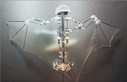  ?? SCIENCE ROBOTICS ?? El Bat Bot tiene alas de silicona para simular la flexibilid­ad que tienen las de los murciélago­s