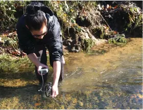  ?? (Special to The Commercial/University of Arkansas at Pine Bluff) ?? Jamie Kindschuh measures temperatur­e and dissolved oxygen at a new trout spawning nest, which is referred to as a “redd.”