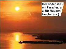  ??  ?? Der Bodensee – ein Paradies, u. a. für Haubentauc­her ( re.).