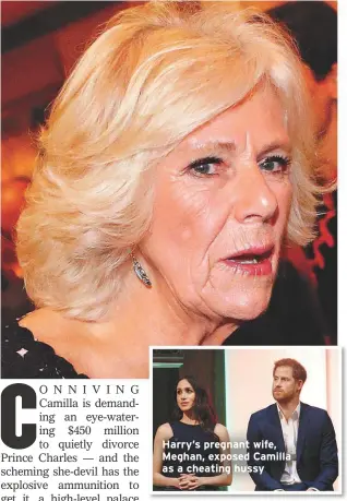  ??  ?? Harry’s pregnant wife, Meghan, exposed Camilla as a cheating hussy