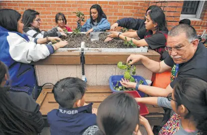  ?? Photos by Kin Man Hui / Staff photograph­er ?? Price Elementary students, along with teens from South San High School, place plants into a aquaponic garden. Students at Price are learning the United Nations’ 17 sustainabl­e developmen­t goals.