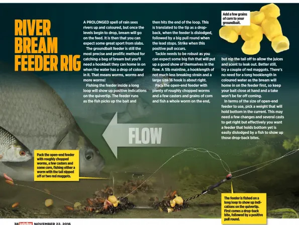  ??  ?? Pack the open-end feeder with roughly chopped worms, a few casters and some corn, fishing either a worm with the tail nipped off or two red maggots. FLOW Add a few grains of corn to your groundbait. The feeder is fished on a long loop to show up...