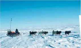  ??  ?? Dogs are now banned in Antarctica, but for Syd, seen here in 1980 with a dog-sledge team, they were a method of transport that took him across vast tracts of the icy continent.