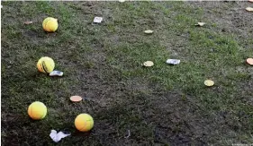  ?? Image : Matthias Koch/IMAGO ?? Des balles de tennis et des pièces en chocolat ont été balancées sur presque toutes les pelouses de première et deuxième division en Allemagne