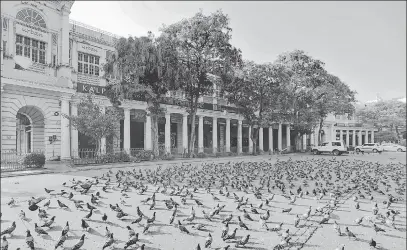  ?? BIPLOV BHUYAN/HT PHOTO ?? ■
Connaught Place has just pigeons, and no people, on March 22, the day Prime Minister Narendra Modi announced a janta curfew.