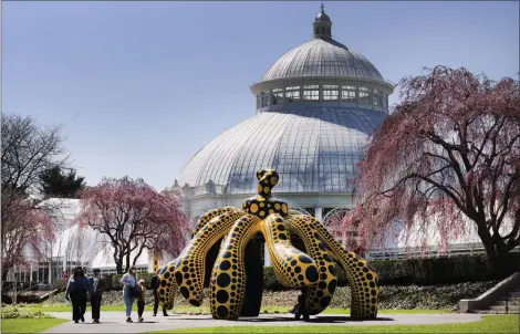 ?? MARK LENNIHAN — THE ASSOCIATED PRESS ?? People walk past one of Yayoi Kusama’s pumpkin sculptures at the New York Botanical Garden on April 8 in the Bronx.