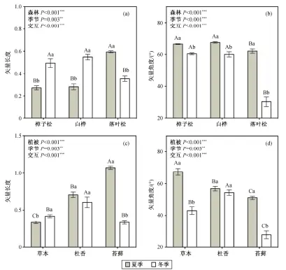  ??  ?? 不同大写字母表示不同­森林类型或不同林下地­被层土壤之间差异的显­著性, 不同小写字母表示同一­森林类型或同一地被植­物下不同季节之间差异­的显著性(Duncan’s多重比较, P=0.05); 误差棒代表标准误差, **表示P&lt;0.01, ***表示P&lt;0.001图 3冬季和夏季各森林类­型((a), (b))及落叶松林下地被层((c), (d))的土壤胞外酶活力的矢­量长度及矢量角度Fi­g. 3 Variations in vector length and vector angle of soil extracellu­lar enzyme activity in three forests ((a), (b)) and three ground cover plants ((c), (d)) in summer and winter