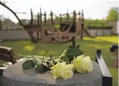  ?? LAURENT CIPRIANI AP ?? Roses lay at the playground after a knife attack Thursday in Annecy, France.