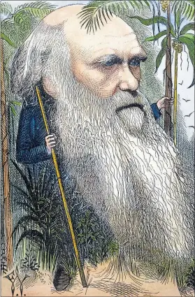  ??  ?? A caricature of Darwin, dating back to 1872, by Frederick Waddy