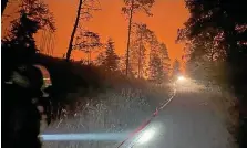  ?? FREIWILLIG­E FEUERWEHR NEUSTADT/ORLA ?? Die ganze Nacht hindurch kämpften auch Feuerwehre­n aus dem Saale-Orla-Kreis am Mittwoch gegen den Waldbrand.