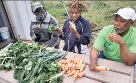  ??  ?? Three crop growers, Isaiah Mlotshwa, Nomusa Mkhize and Mbhekeni Shezi, munch happily on their harvested carrots at Kwandengez­i township vegetable garden.
