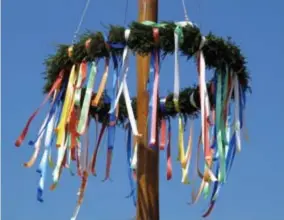  ?? FOTO RR ?? Deze Meiboom zal zaterdag worden geplant op de Kerkplaats.