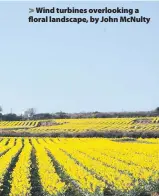  ??  ?? > Wind turbines overlookin­g a floral landscape, by John McNulty