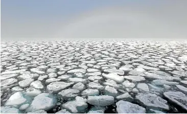  ?? GETTY IMAGES ?? Drift ice floats in the Arctic Ocean off Spitsberge­n, Norway. But a new study suggests even this limited ice could be gone within 15 years.