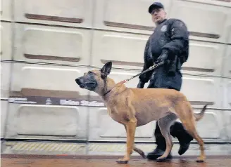  ?? Washington Post File ?? A transit officer patrols the Union Station subway train platform in Washington with Gypsy, a five-year-old
Belgian Malinois. The Malinois is the favoured breed of the U.S. Secret Service.