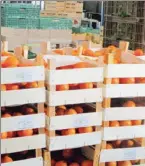  ??  ?? Des fruits de saison ont été livrés en autre à la Banque Alimentair­e des P.O.