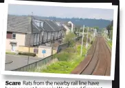  ??  ?? Scare Rats from the nearby rail line have been seen at homes in Westwood Crescent