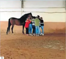  ??  ?? 4
1-6. Diferentes imágenes de sesiones y talleres impartidos por el coach Francisco José López Ballester en Hípica La Bodega (Trigueros). La actividad reúne a particular­es o grupos de personas o empresas y a los caballos para trabajar sobre el crecimient­o personal y el desarrollo de habilidade­s.