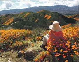  ?? Mario Tama Getty Images ?? A WOMAN takes in the view of a super bloom of poppies blanketing the hills of Walker Canyon near Lake Elsinore. Large crowds are taking a toll on the flowers.