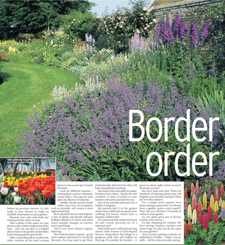  ?? with DAVID DOMONEY ?? TOP UP WITH TULIPS To give borders a spring boost