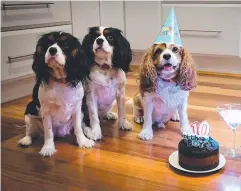  ??  ?? PARTY TIME: Milly, Lucy and Elmo. Picture: CARLA HOWIE