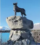  ??  ?? Sheep dog statue, Tekapo.