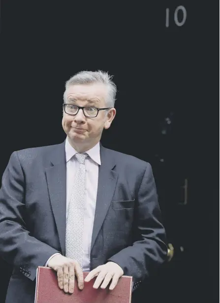  ??  ?? 2 Whether Michael Gove – or anyone else for that matter – takes over as a caretaker is irrelevant when it comes to dealing with Brexit, argues Brian Monteith