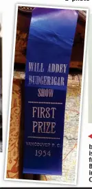  ??  ?? One of the most bizarre finds made by the charity shop is a first-place ribbon from the Will Addey Budgerigar Show in Vancouver, Canada, 1954