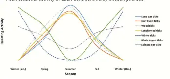  ?? ?? Immature ticks of some species may feed on horses, but adults are the stage most often collected. Thus, the threat to horses is greatest when adult ticks of each species are most active. Peak seasonal activity of adult ticks commonly infesting horses