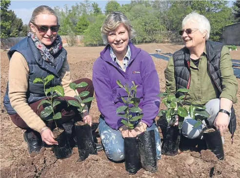  ?? Picture: Mhairi Edwards. ?? At the launch are, from left, tea planters Jane Spencer-Nairn of Fife, Pinkie Methven of Perth and Kinross and Mary Gifford of Angus.