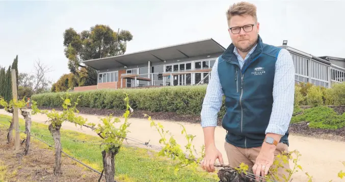  ?? ?? Jared Stringer, the chief executive of Adelaide Hills winery The Lane Vineyard knows the demand for white wine is growing. Picture: Dean Martin