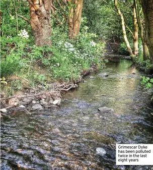  ?? ?? Grimescar Dyke has been polluted twice in the last eight years