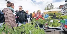  ?? RP-FOTO: KLAUS-DIETER STADE ?? Auf dem Blumen- und Staudenmar­kt an der Emmericher Rheinprome­nade herrschte wieder einmal Andrang.