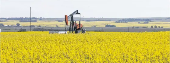  ??  ?? Western Canadian canola fields surroundin­g an oil pump jack are seen in full bloom before they will be harvested later this summer in rural Alberta.REUTERS